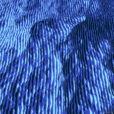 Humor -  Fun GIF Artists Bill Tavis 