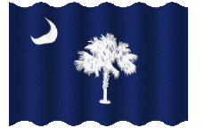 Fahnen Amerika U.S.A - States Carolina South Welligkeit 