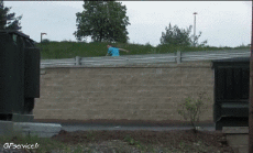 Humor -  Fun Sport Rollschuh Fun - Win 