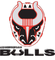 Sport Eishockey U.S.A - S P H L Birmingham Bulls 