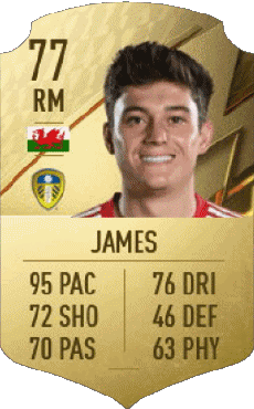 Multi Media Video Games F I F A - Card Players Wales Daniel James 
