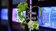 Messages French Bonne Chance Animated Background 002 