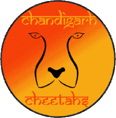 Sports Cricket Inde Chandigarh Cheetahs 