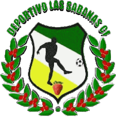 Sport Fußballvereine Amerika Nicaragua CD Las Sabanas 