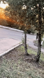 Humor -  Fun Transport Roller Fail 