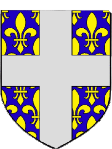 Blason-Drapeaux France Départements - Villes 08 JUNIVILLE 