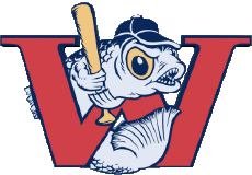 Sports Baseball U.S.A - A A B Winnipeg Goldeyes 
