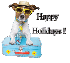 Mensajes Inglés Happy Holidays Fondo transparente 29 