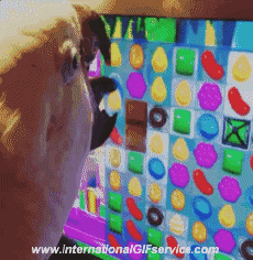 Humor - Fun Animales Pájaros Loro Peruche 