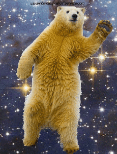 Humour - Fun Animaux Ours Serie 01 