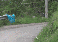 Humor -  Fun Transport Autos Rallye-Fail-Crash 