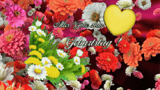 Messages German Alles Gute zum Geburtstag Blumen Animated Background 004 