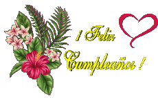 Messages Spanish Feliz Cumpleaños Floral Transparent Background 007 