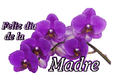 Nachrichten Spanisch Feliz día de la madre 05 