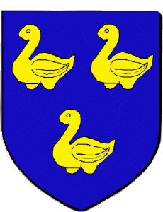 Bandiere Francia Dipartimenti - Città 95 SARCELLES 