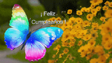 Messages Spanish Feliz Cumpleaños Mariposas Animated Background 004 