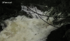 Umorismo -  Fun Sportivo Canoa Kayak Fun - Win 