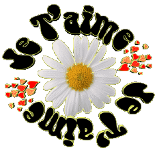 Messages Français Je T'aime 05 