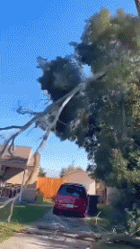 Humor -  Fun Transport Cars Accident  Fail 02 