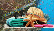 Messages Spanish Felices Vacaciones Animated Background 005 
