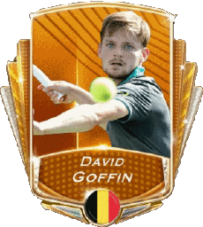 Sports Tennis - Joueurs Belgique David Goffin 