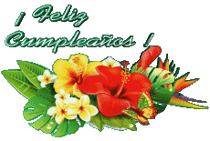 Mensajes Español Feliz Cumpleaños Floral Fondo transparente 001 