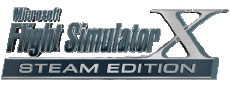 Multi Média Jeux Vidéo Flight Simulator Microsoft Logos 
