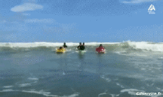 Humor -  Fun Sport Surf Gamelle Fail 