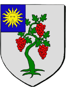 Drapeaux France Départements - Villes 83 LA CRAU 