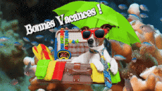 Messages Français Bonnes Vacances Fond Animé 006 