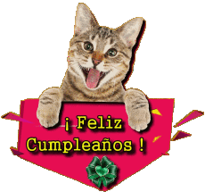 Nachrichten Spanisch Feliz Cumpleaños Animales 002 
