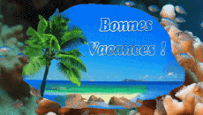 Messages French Bonnes Vacances Animated Background 006 