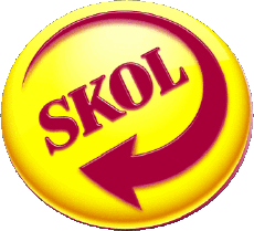 Bebidas Cervezas Brazil Skol 