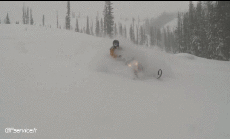 Umorismo -  Fun Trasporti Moto da neve Fun - Win 