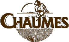 Essen Käse Frankreich Chaumes 