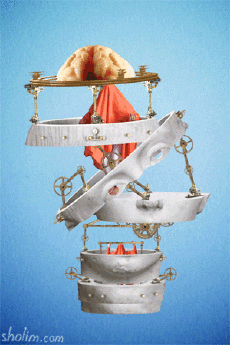 Humor -  Fun GIF Artists Sholim 