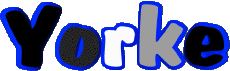 Nome MASCHIO - UK - USA - IRL - AUS - NZ Y Yorke 