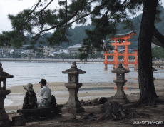 Umorismo -  Fun Effetti 3d Stéreoscopique Wiggle 