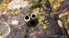 Humor -  Fun GIF Artists @Eclectech 