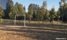 Humor -  Fun MENSCHEN Akrobatik Verschieden Fun Win 02 