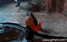 Humour - Fun Animaux Singes Serie 01 