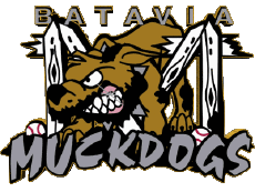 Sport Baseball U.S.A - New York-Penn League Batavia Muckdogs 