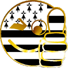 Bandiere Francia Regioni Bretagna Faccina - OK 