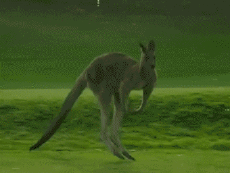 Multimedia Canali - TV Francia Voyage Jingle Pub 