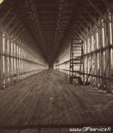 Umorismo -  Fun Effetti 3d Stéreoscopique Wiggle 