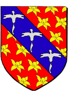 Blazon-Flags France Departments - Cities 974 SAINT JOSEPH 