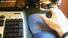 Humor - Fun Animales Hurones 01 