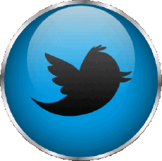 Multi Media Computer - Internet Twitter 