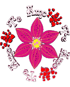 Messages Spanish Te Amo 01 