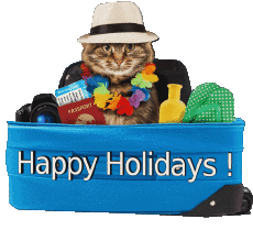 Messagi Inglese Happy Holidays 12 